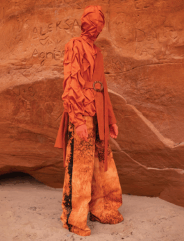 IEVA PĀVULĀNE REIDZĀNE